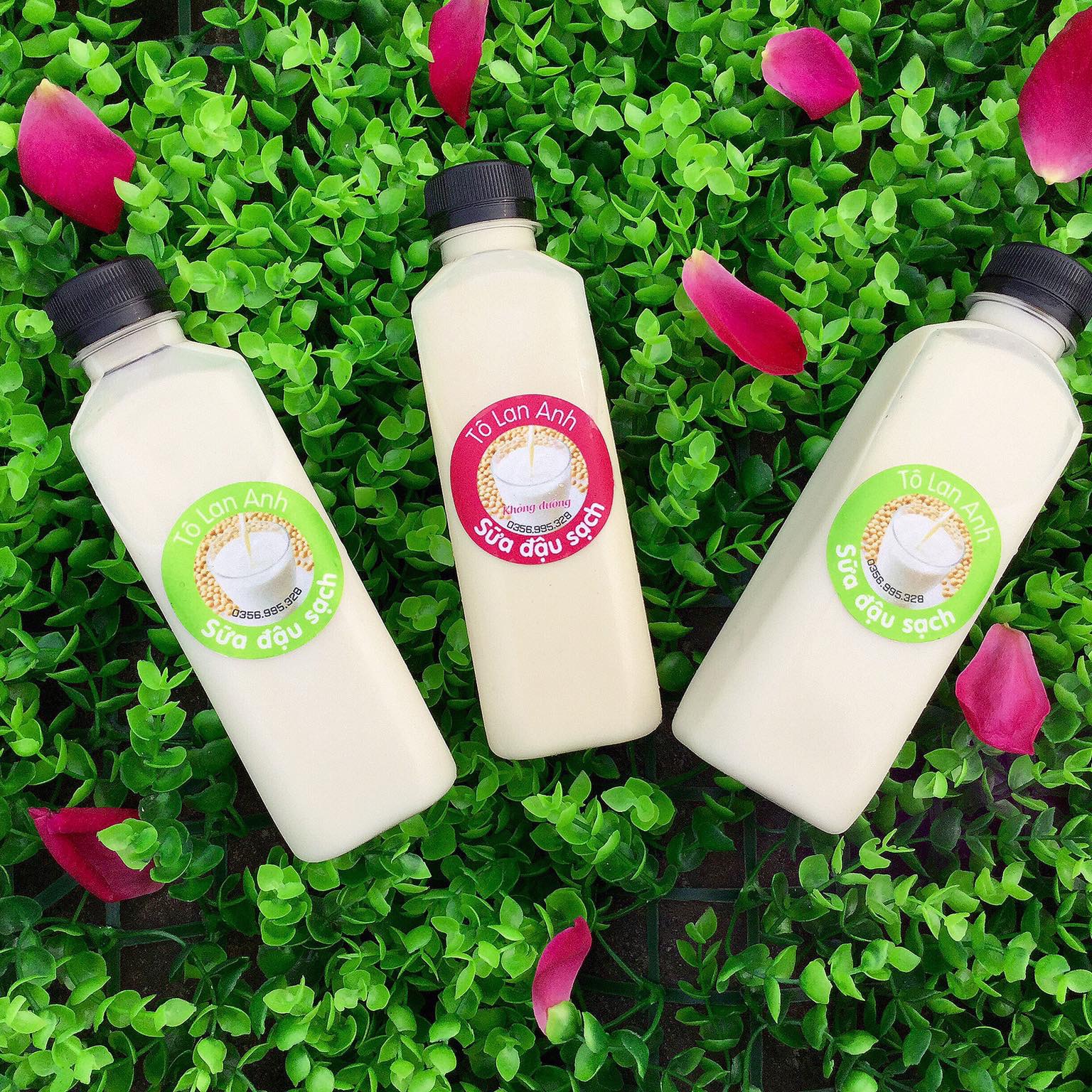 Chai vuông 330ml